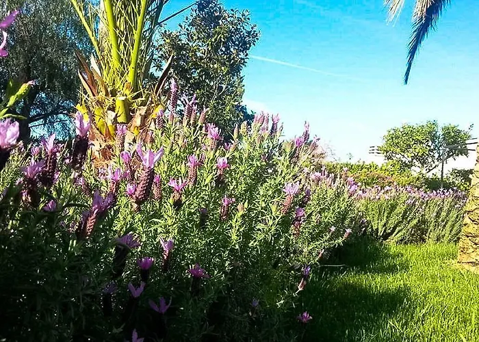 Vakantieboerderij Masseria Calongo