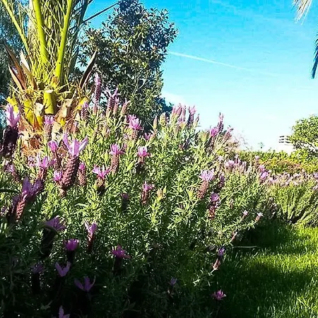 Farmház Masseria Calongo