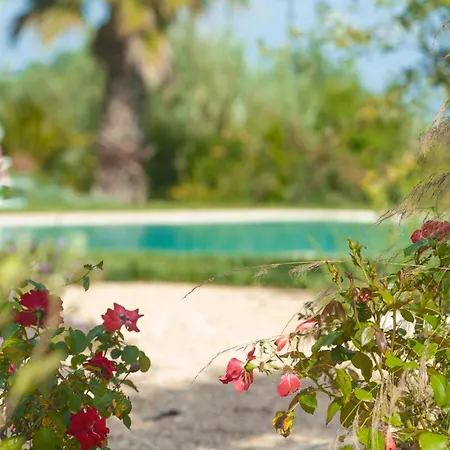 Masseria Calongo Farm stay *